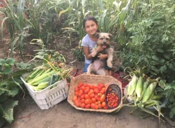 Gardens promote health