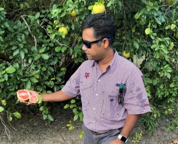 Kranthi Mandadi, Texas A&M AgriLife Research scientist