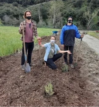 Figure 4: Hedgerow Planting day at Solidarity Farms.