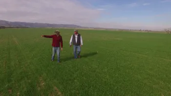 Farmer Field Day