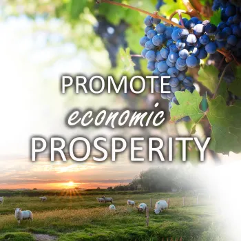 EconomicButton