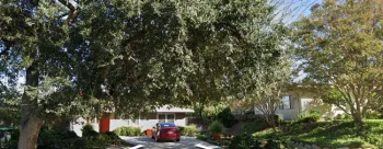 Trees Come First Under Drought and Water Restrictions