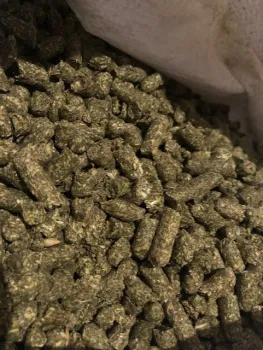 pellets