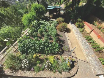 aerial shot