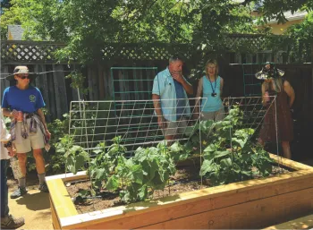 cuke trellis