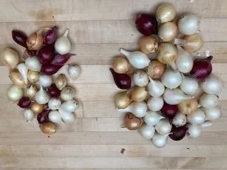Sort by Size
