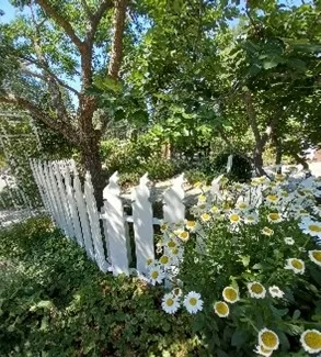 Cottage garden