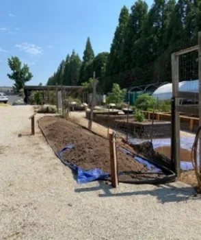 Raised beds