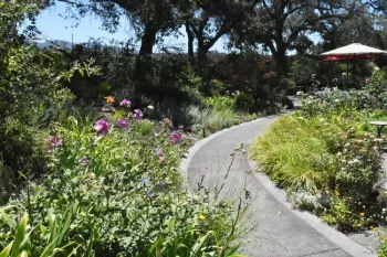 Walkway