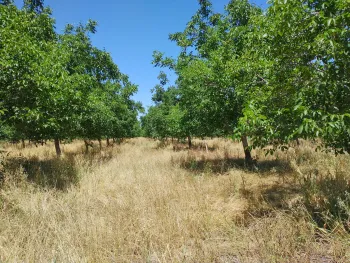 Unruh Farming