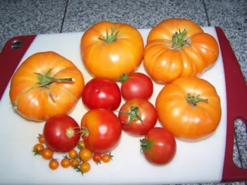 Susan's Heirlooms