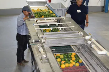Packline