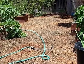 Completed project
