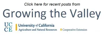 Growing the Valley