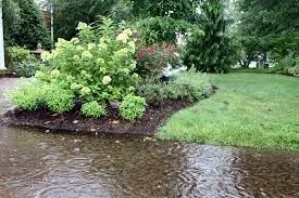 wet garden