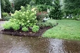 Wet Garden