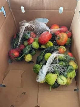 Red and green tomatoes and peppers in net bag.