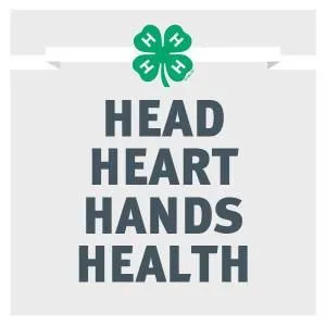 05ba22f923e7178623dc9079e87ed074--heart-hands--h