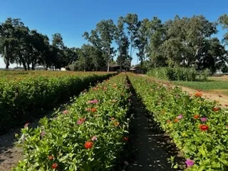 IMG 2508