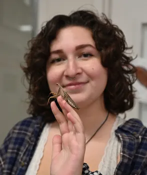 UC Davis entomology senior Sol Wantz, president of the UC Davis Entomology Club, with a European paper mantis. (Photo by Kathy Keatley Garvey)