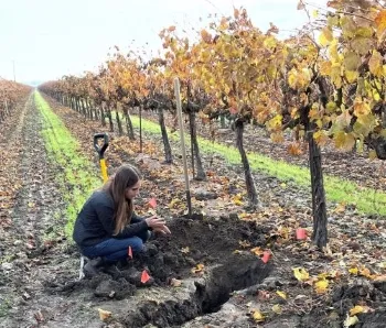 Soil in field 4