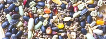 westcoastseeds.com