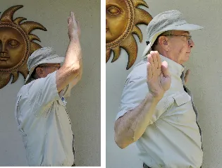 StretchUP1 2
