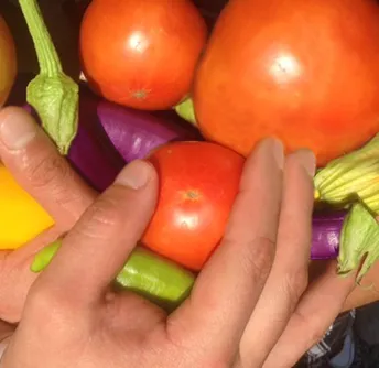 Grow your own veggies in a Community Garden - Courtesy Gehringer Garden