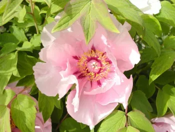 MG2024Q1PlantsB