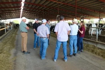 Alrededor de 60 productores lecheros, investigadores y profesionales de la industria visitaron las lecherías Fred Rau y Jones para observar los sistemas de ordeño automatizados durante el recorrido de campo en octubre del 2022. Fotografía cortesía de Daniela Bruno