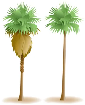 plantMaintenance