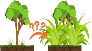 plantSelection