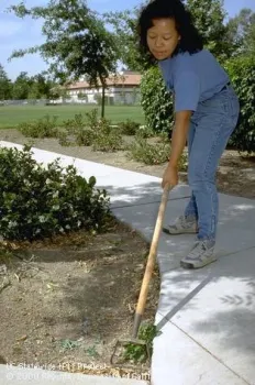 Woman using scuffle hoe