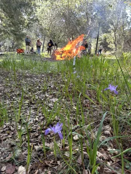 fire