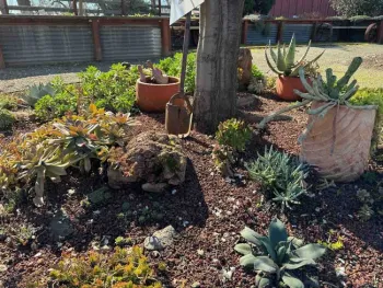 A view of the Succulent Garden in the Master Gardener Demonstration Garden at Patrick Ranch. Laura Kling