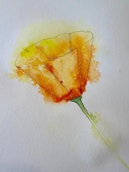 done poppy