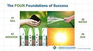 FourFOundationsOfSuccess