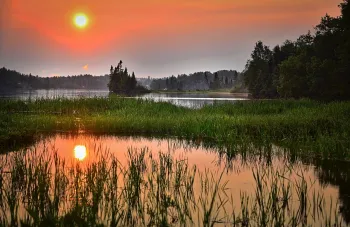 Wetlands