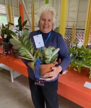 Jeanne Ann Pine