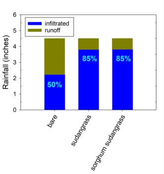 Figure 5. Rainfall volume infiltrated and lost as runoff in the cover crop and bare treatments during late January and early February 2024.