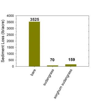 Figure 6. Total sediment loss in cover crop and bare-fallow plots during the 2023-24 winter season.