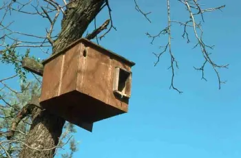 Owl nesting box. Jack Kelly Clark, UC IPM