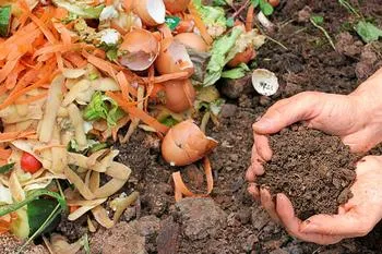 Composting Fresno class 2.22.25