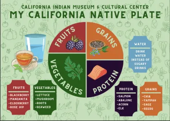 My California Native Plate, an adapted and culturally relevant resource displaying a plate filled with Indigenous foods and lists of examples to meet nutrient needs