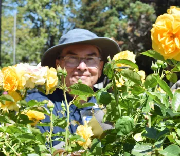 Anytime Bob's in the Garden