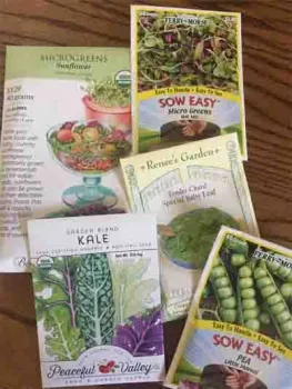 Microgreens grow easily from seed. Kim Schwind