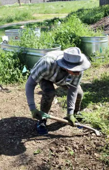 Mike Flanner demonstrates the tried-and-true method of removing tenacious weeds in April 2023 workshop. Michelle Graydon.jpeg