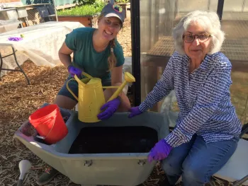 Compost extract