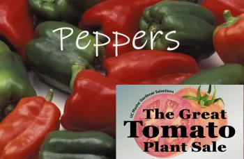 PepperPagePic_2.jpg