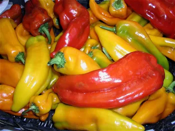 Assorted Chile Peppers, Rosalie Shepherd
